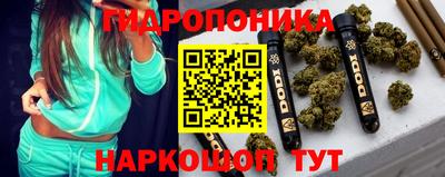 стафф Краснознаменск