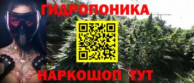 стафф Краснознаменск