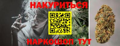 стафф Краснознаменск