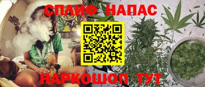 не бодяженный Краснодар
